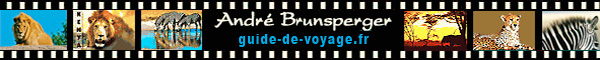 contactez-nous